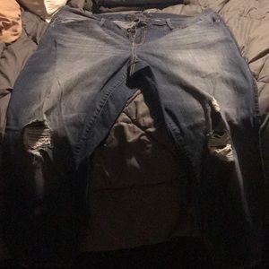 Torrid Premium Jeggings 24R, Medium Wash